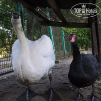 фото из отзыва ID 1154632