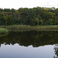 фото из отзыва ID 1154632