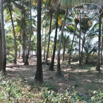 фото из отзыва ID 1154705