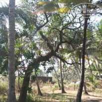 фото из отзыва ID 1154705