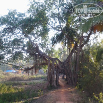 фото из отзыва ID 1154705