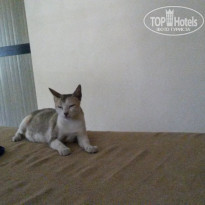 фото из отзыва ID 1154705