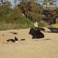 фото из отзыва ID 1154725