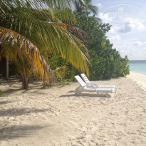 фото из отзыва ID 1154975