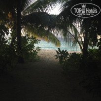 фото из отзыва ID 1154975