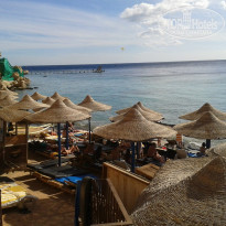 фото из отзыва ID 1155154