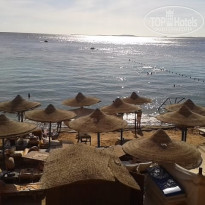 фото из отзыва ID 1155154