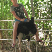 фото из отзыва ID 1155177