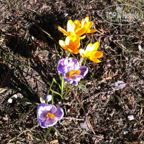 фото из отзыва ID 1155459