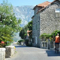 фото из отзыва ID 1155521