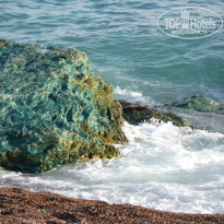 фото из отзыва ID 1155521