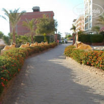 фото из отзыва ID 1155586