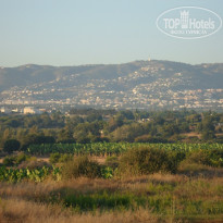 фото из отзыва ID 1155799