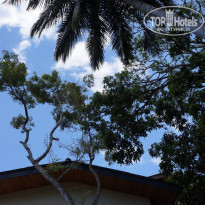 фото из отзыва ID 1155655