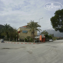 фото из отзыва ID 1155887