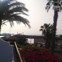 фото из отзыва ID 1155909