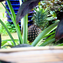 фото из отзыва ID 1156099