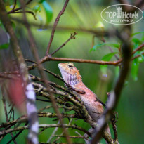 фото из отзыва ID 1156099