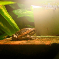 фото из отзыва ID 1156099