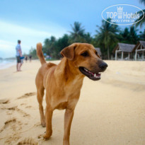 фото из отзыва ID 1156099