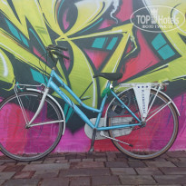 фото из отзыва ID 1156494