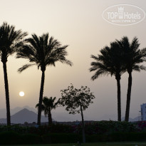 фото из отзыва ID 1156525