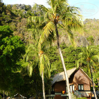 фото из отзыва ID 1156160