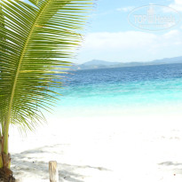 фото из отзыва ID 1156160