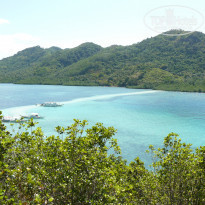 фото из отзыва ID 1156160