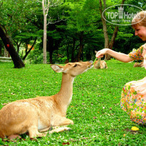 фото из отзыва ID 1156716