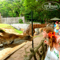 фото из отзыва ID 1156716