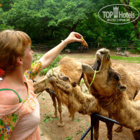 фото из отзыва ID 1156716