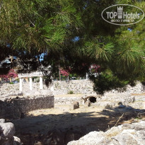 фото из отзыва ID 1156816