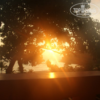 фото из отзыва ID 1156874