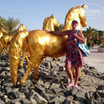 фото из отзыва ID 1150430