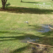 фото из отзыва ID 1150430