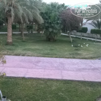 фото из отзыва ID 1156984