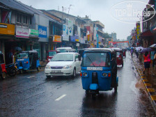 Charlton Kandy Rest 2*