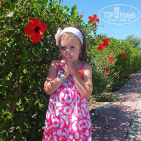 фото из отзыва ID 1156995