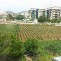 фото из отзыва ID 1157115