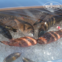 фото из отзыва ID 1157310