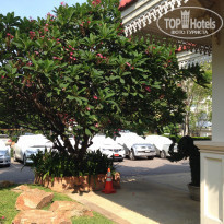 фото из отзыва ID 1157333