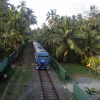 фото из отзыва ID 1157638