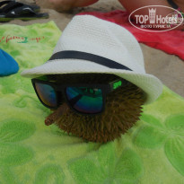 фото из отзыва ID 1157757