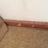 фото из отзыва ID 1157856