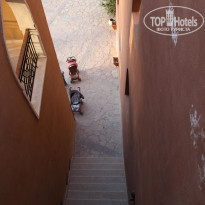 фото из отзыва ID 1157867