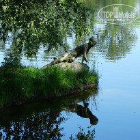 фото из отзыва ID 1158017