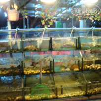 фото из отзыва ID 1158198