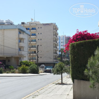 фото из отзыва ID 1158204