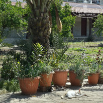 фото из отзыва ID 1158204